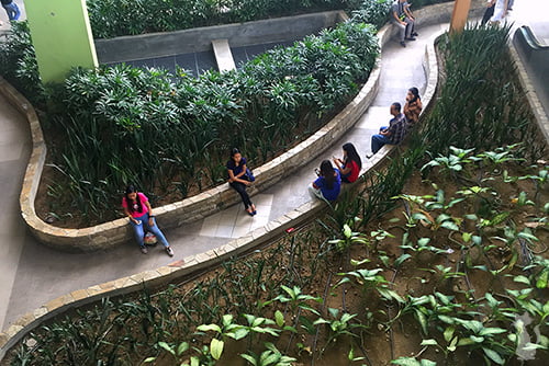 Ayala Center Cebu Girls