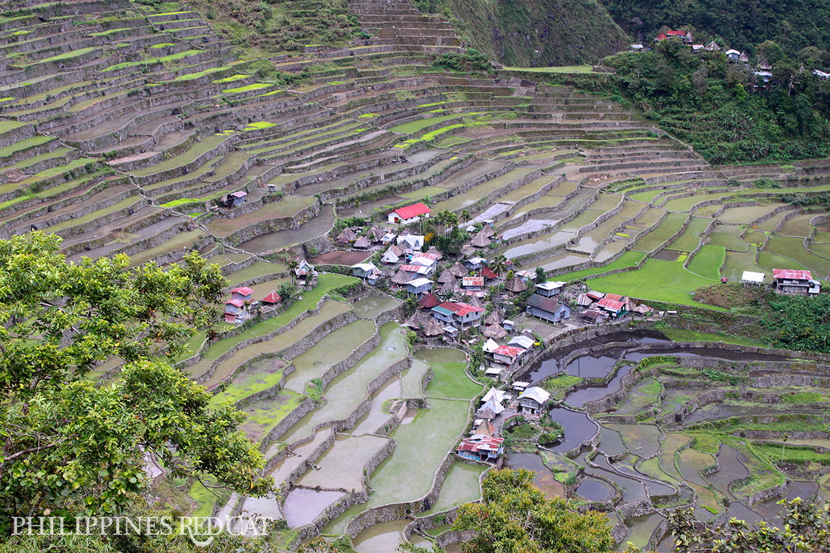 Banaue Rice Terraces