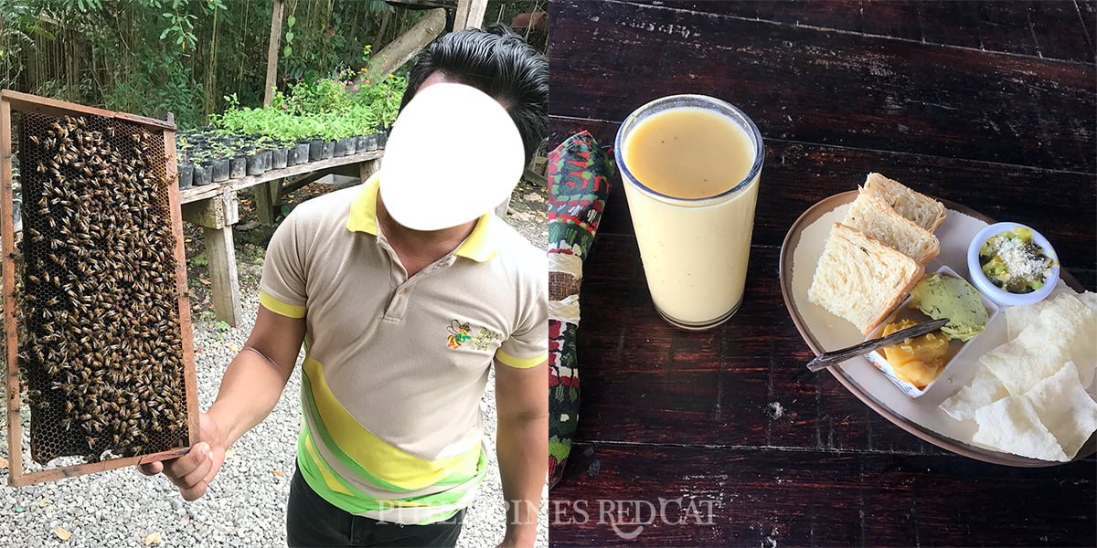 Bohol Bee Farm