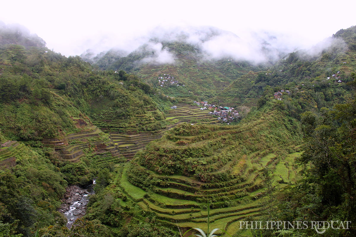 Cambulo Rice Terraces