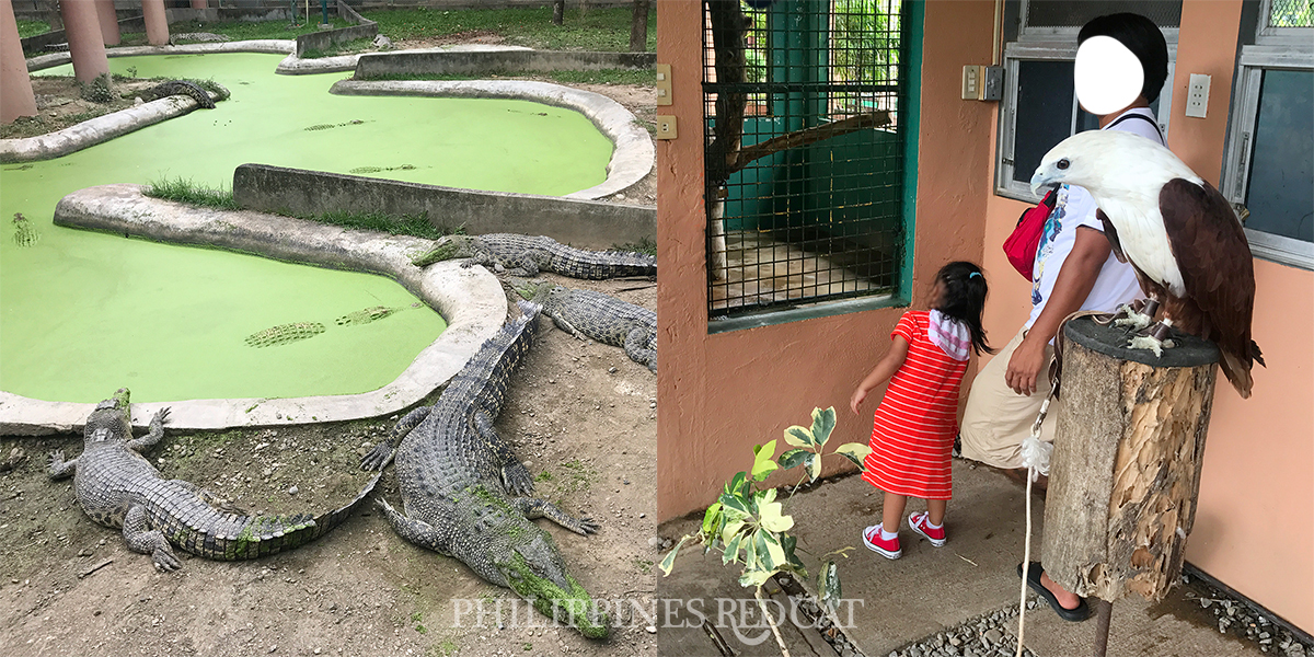 Crocodile Park Davao