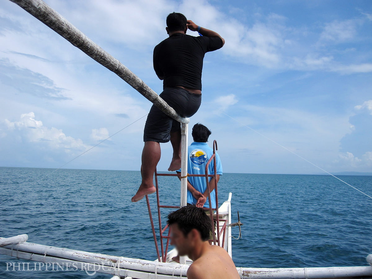 Donsol Whale Shark Snorkeling 2