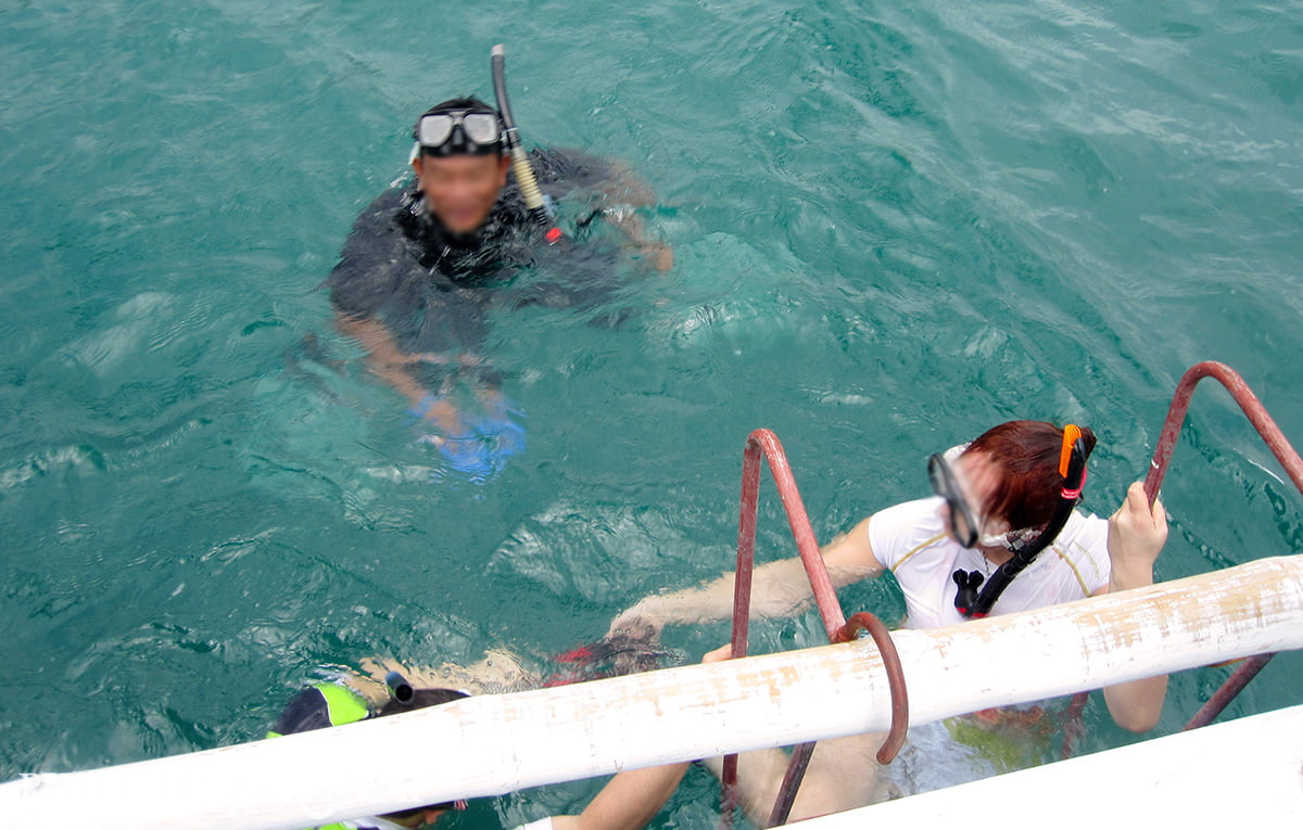 Donsol Whale Shark Snorkeling