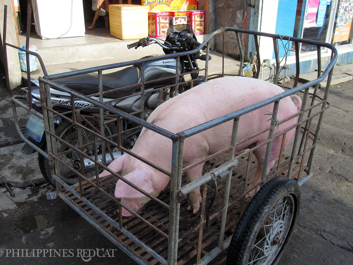 Philippines Transport