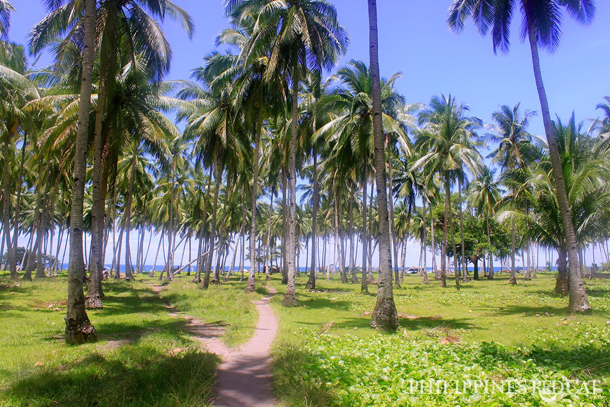 Puerto Galera White Beach